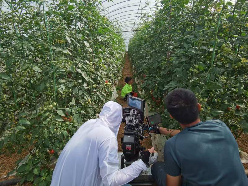 北塔区产品宣传视频拍摄公司进阶指南，助力品牌抢占传播高地